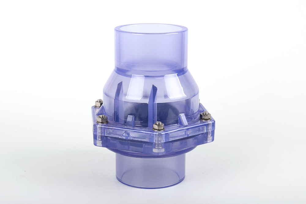 浦北透明翻板式止回阀